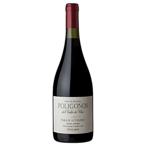 Zuccardi Poligonos Malbec